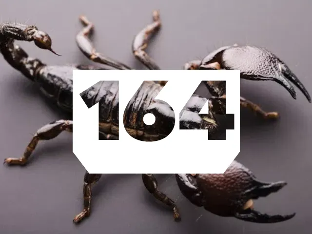 Episode 164: Fear